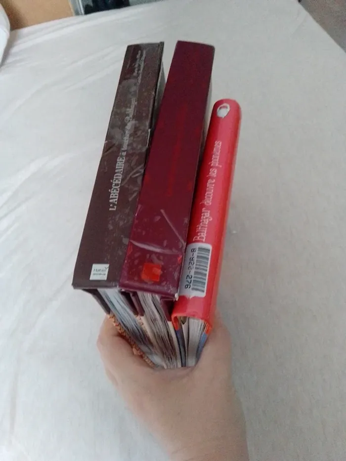 3 livres balthazar, apprentissage de l'écriture et des phonèmes - photo numéro 7