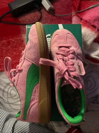 Puma palermo