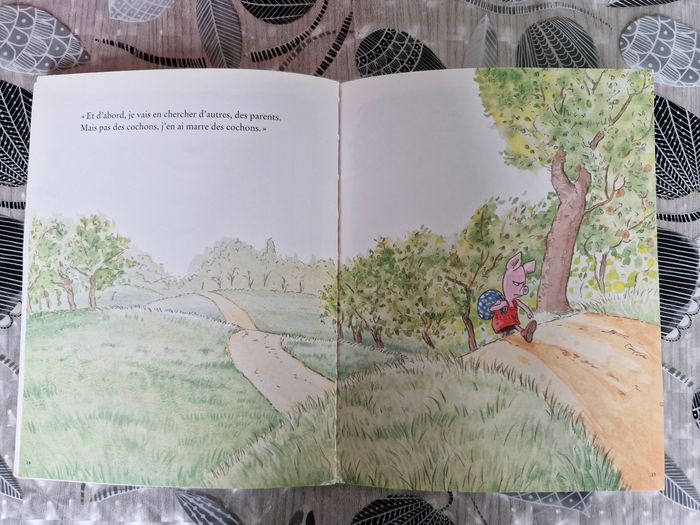 Livre enfant - photo numéro 3