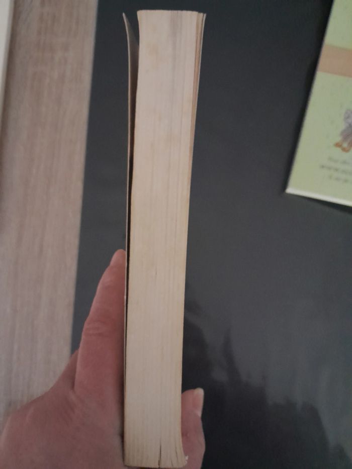 roman Max et les maximonstres - l'île aux monstres - photo numéro 5