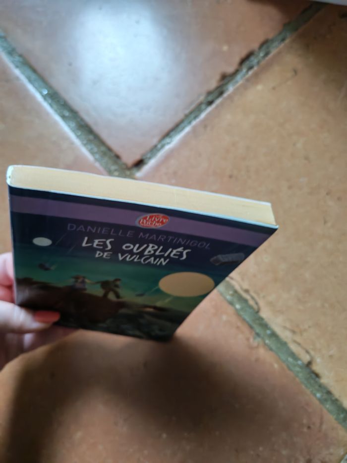 Les oubliés de vulcain, livre de Danielle Martinigol - photo numéro 4