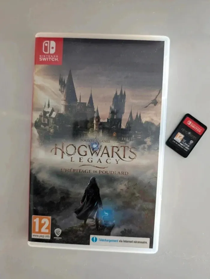 Hogwarts Legacy Switch