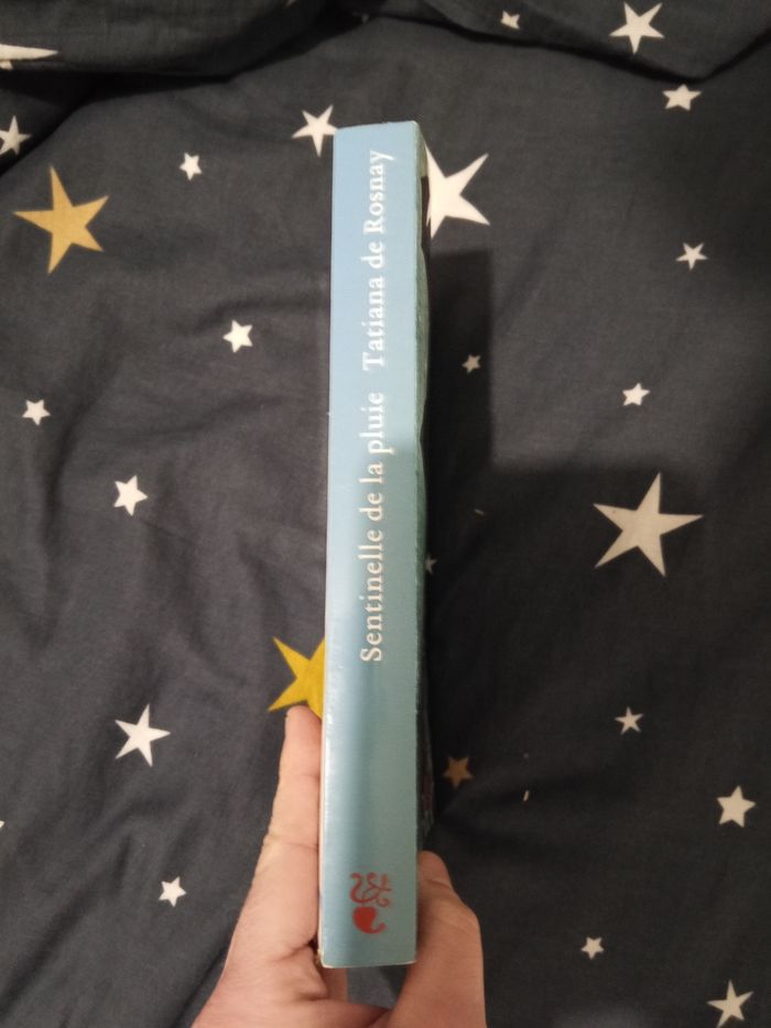 Livre (182) 📚 Sentinelle de la pluie - photo numéro 3