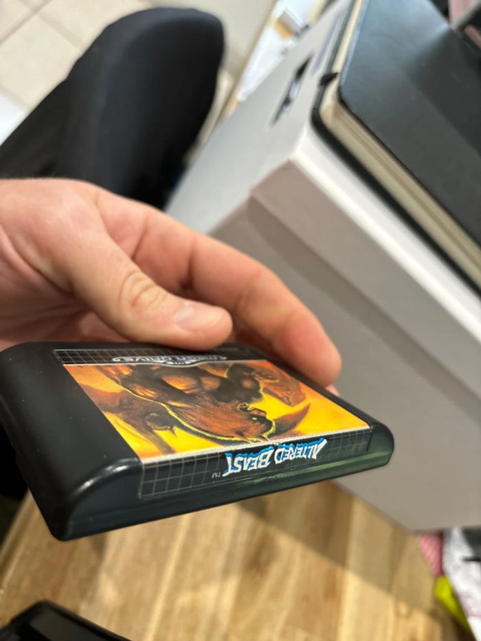 Altered Beast - SEGA Megadrive - photo numéro 10