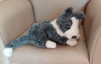 Peluche chien gris blanc royal canin