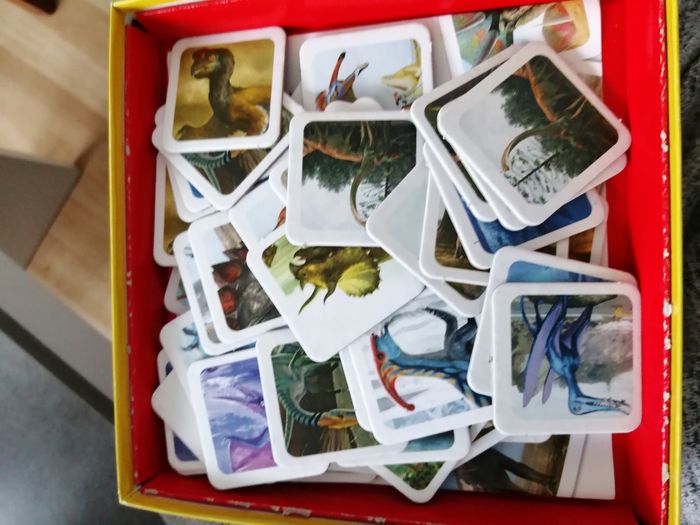 Jeu dinausore - photo numéro 2