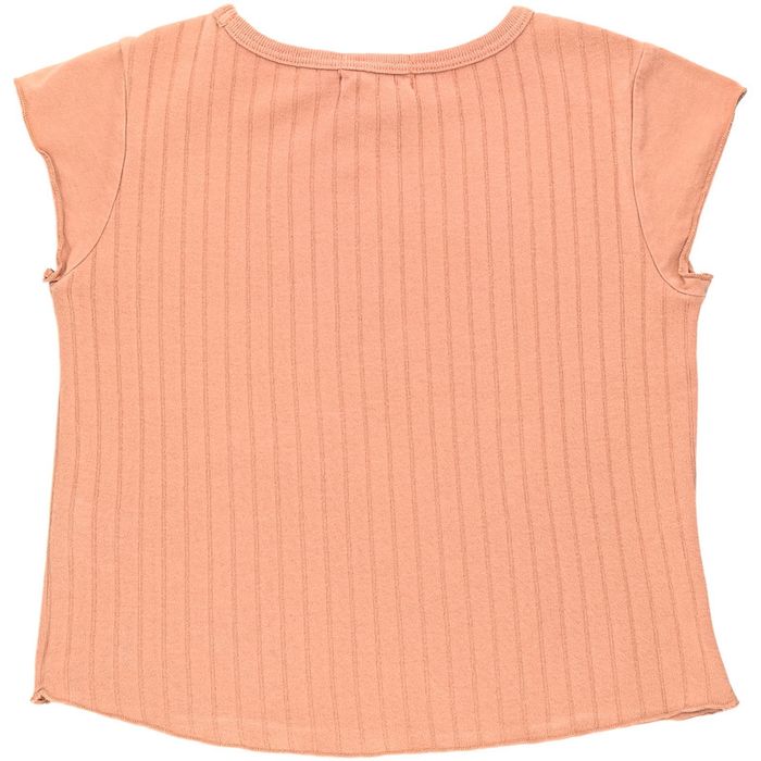 T-Shirt à manches courtes 4 ans en coton bio Arsène et les pipelettes - photo numéro 2