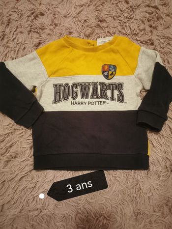 Sweat Harry Potter