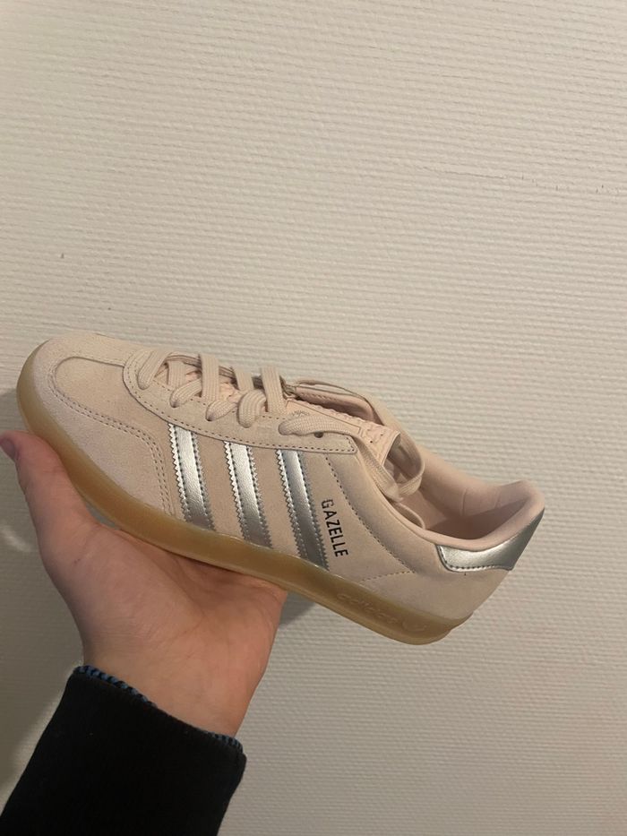 Gazelle rose - photo numéro 2