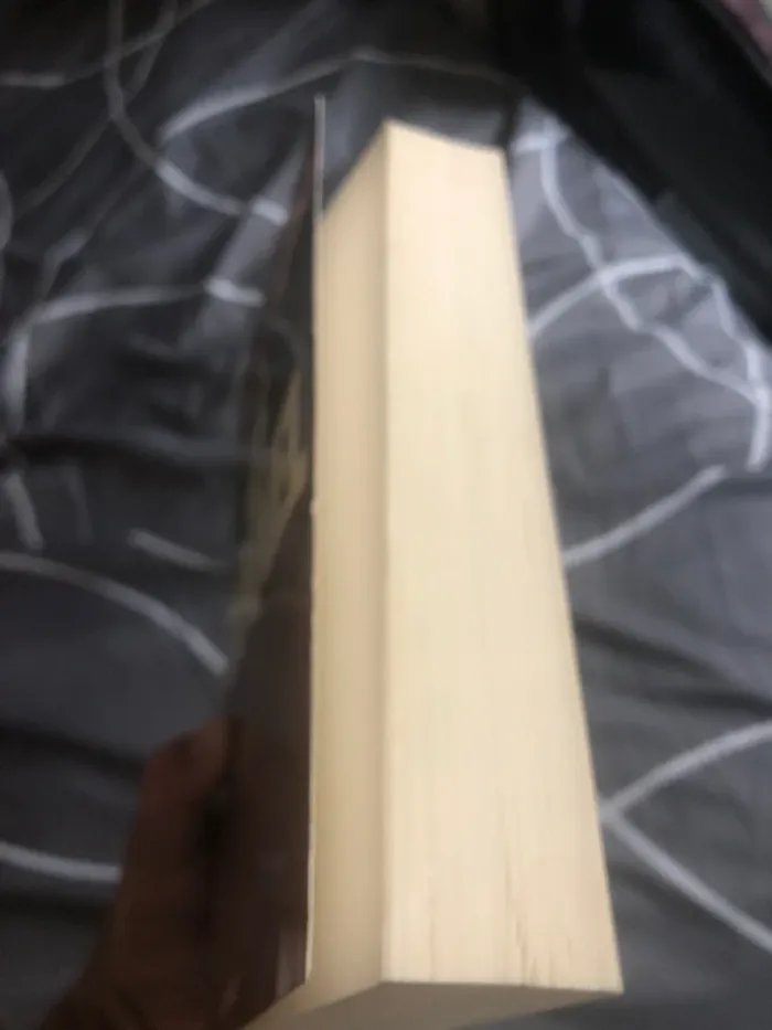 Livre le tunnel 📕 - photo numéro 4