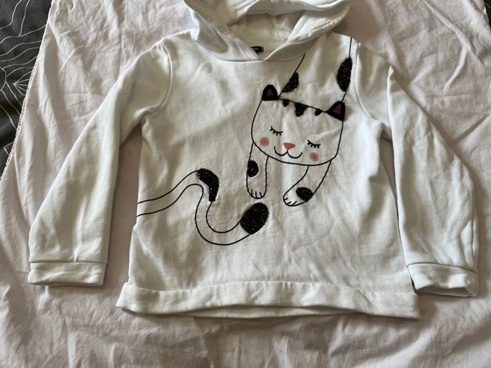 Pull chat - photo numéro 2