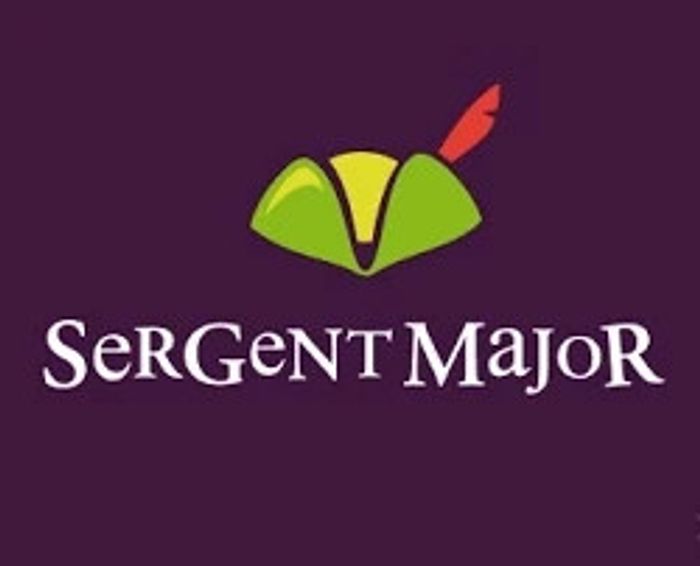 Destockage vêtements Sergent major garçon