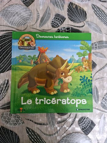 Livre enfant 