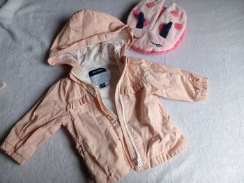 Veste