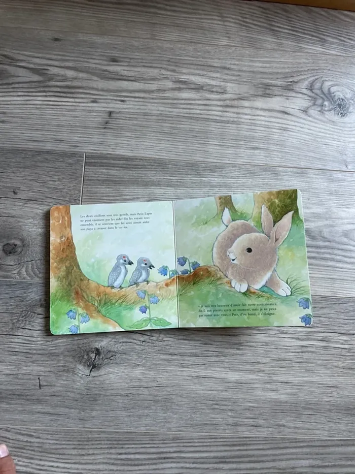 Livre à caresser Petit Lapin - photo numéro 2