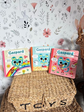 Lot de 3 livres sonores Gaspard