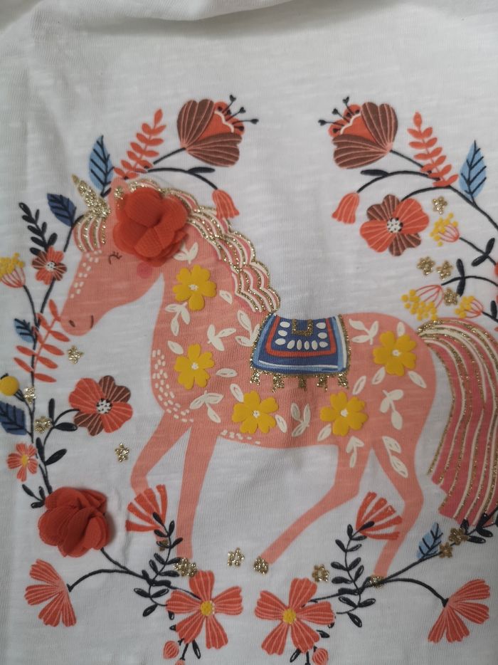 Tee-shirt TBE - photo numéro 3