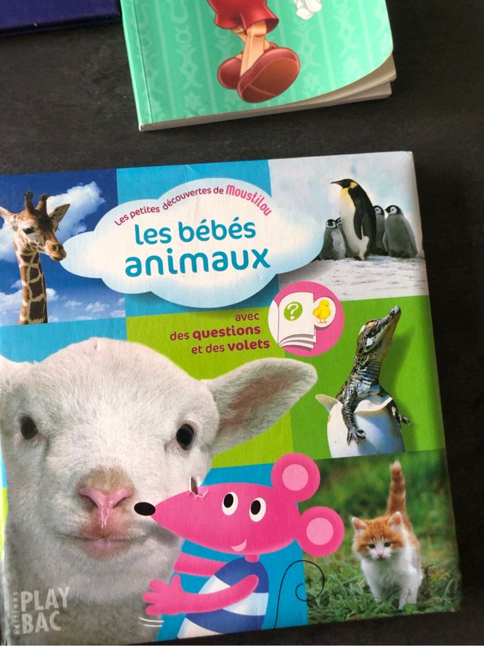 Lot de livres - photo numéro 10