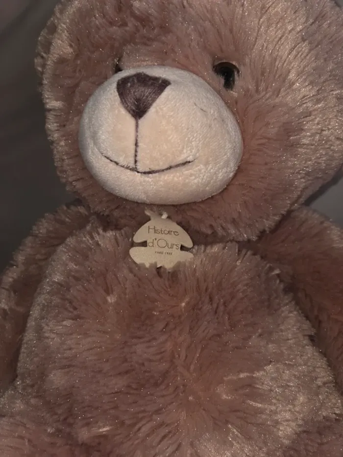 Ours histoire d'ours - photo numéro 3