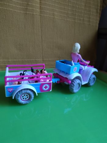 Figurines vétérinaire