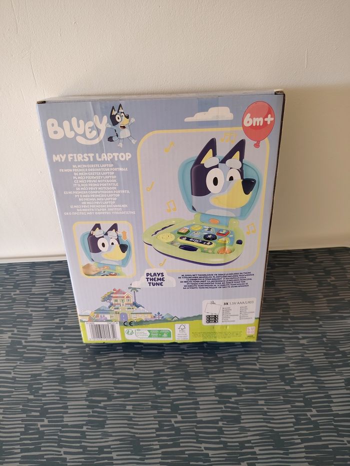 Ordinateur bluey - photo numéro 2