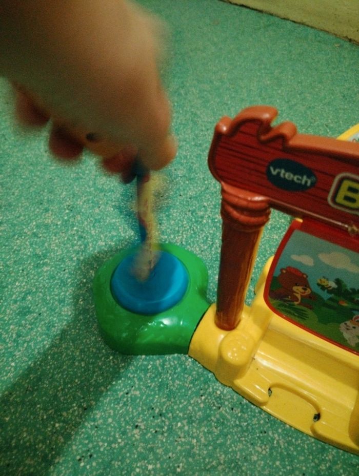 Circuit tutute animaux - photo numéro 6