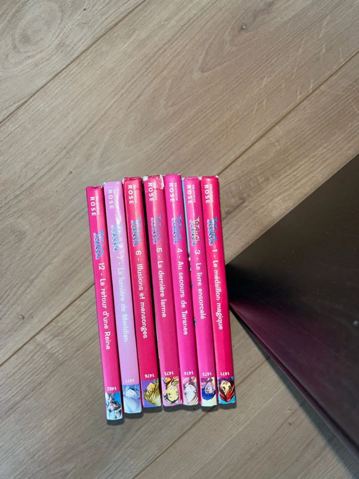 Livre pour enfants la bibliothèque rose witch à l unité - photo numéro 2