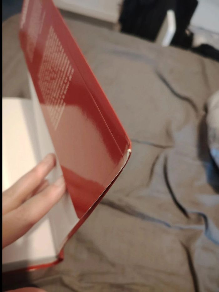 Gros livre Da vinci code - photo numéro 14