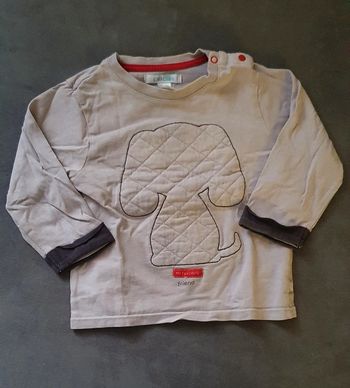 Tee Shiet Gris Manches Longues 12 Mois