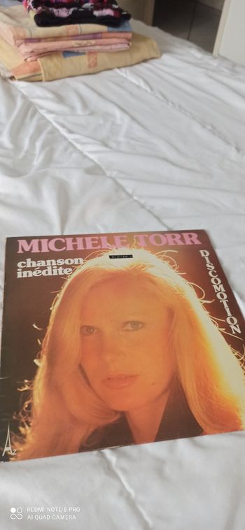Disque 33 t Michele torr