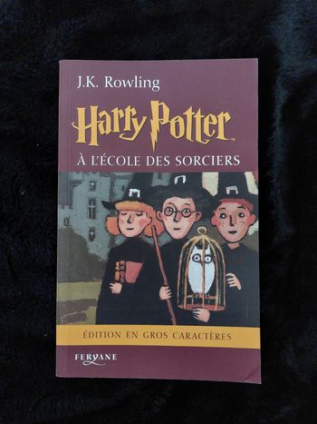Livre harry Potter édition feryane gros caractere très rare 