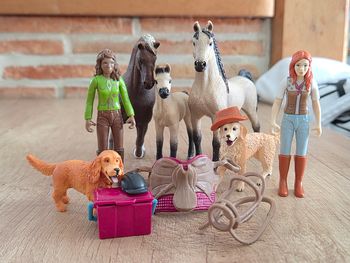 Lot schleich