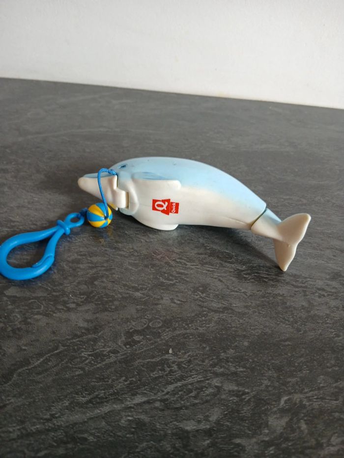 Dauphin Quick - photo numéro 3