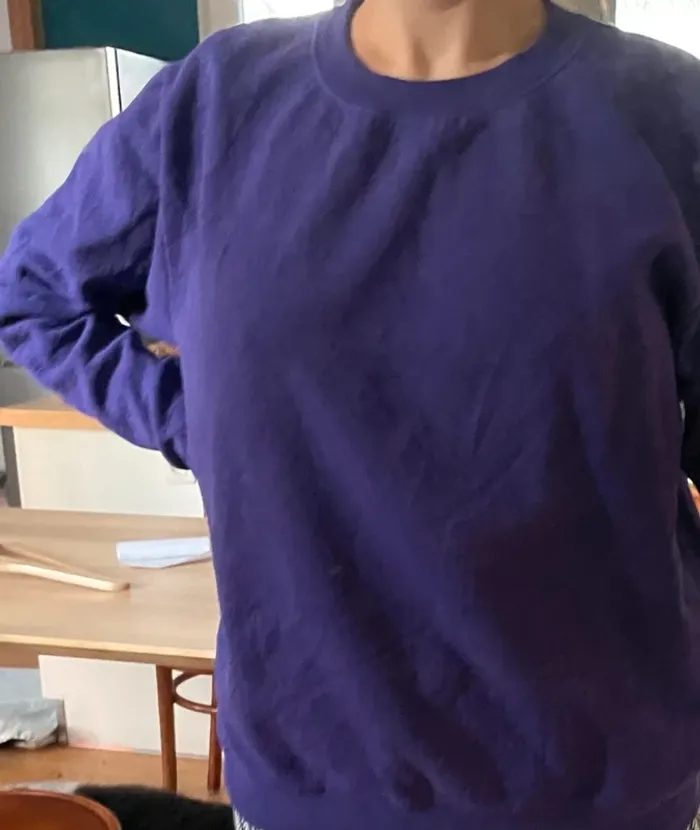 Crewneck Gildan plain full purple L womens - photo numéro 4