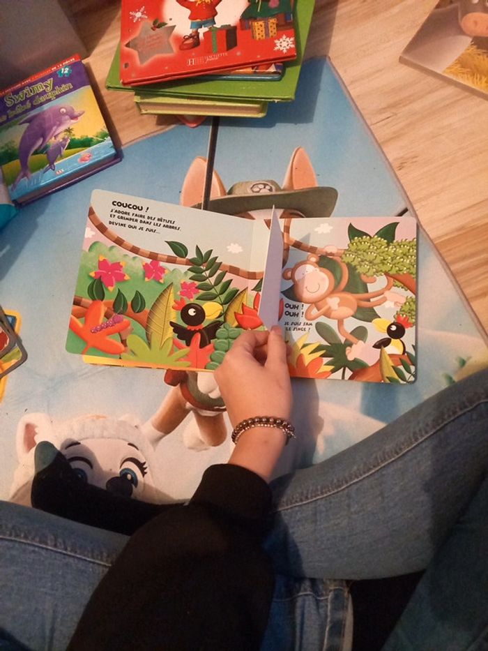Livre flip flash au zoo - photo numéro 5