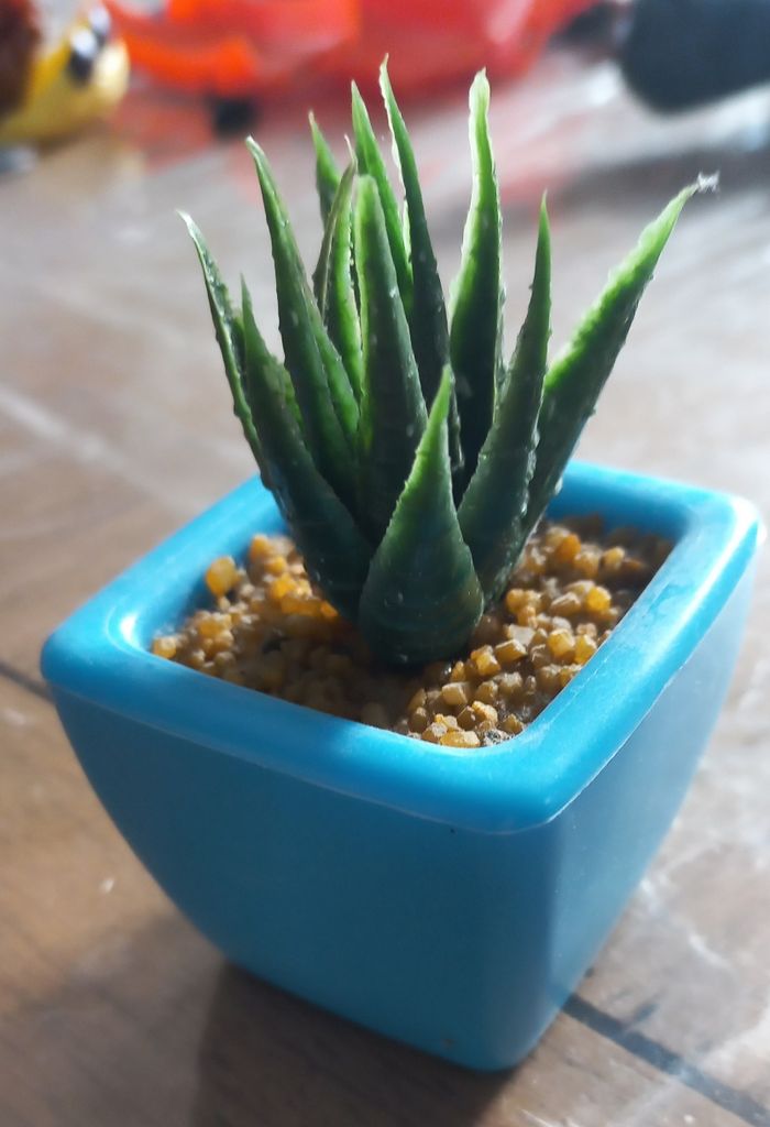 Pot décoratif cactus
