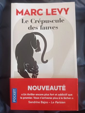 Livre le crépuscule des fauves Marc Levy