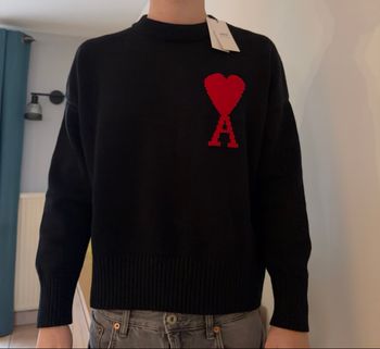 Pull Ami Paris 