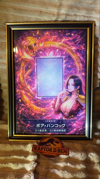 ⚜️ Cadre Premium -OP01 - Legendary Collection 