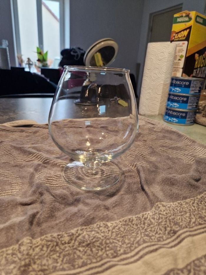 Verre à bière ballon 50 cl