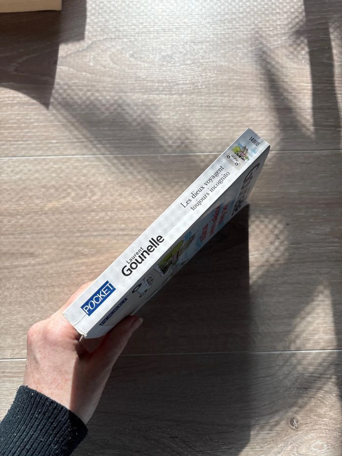 Livre les dieux voyagent toujours incognito - photo numéro 3