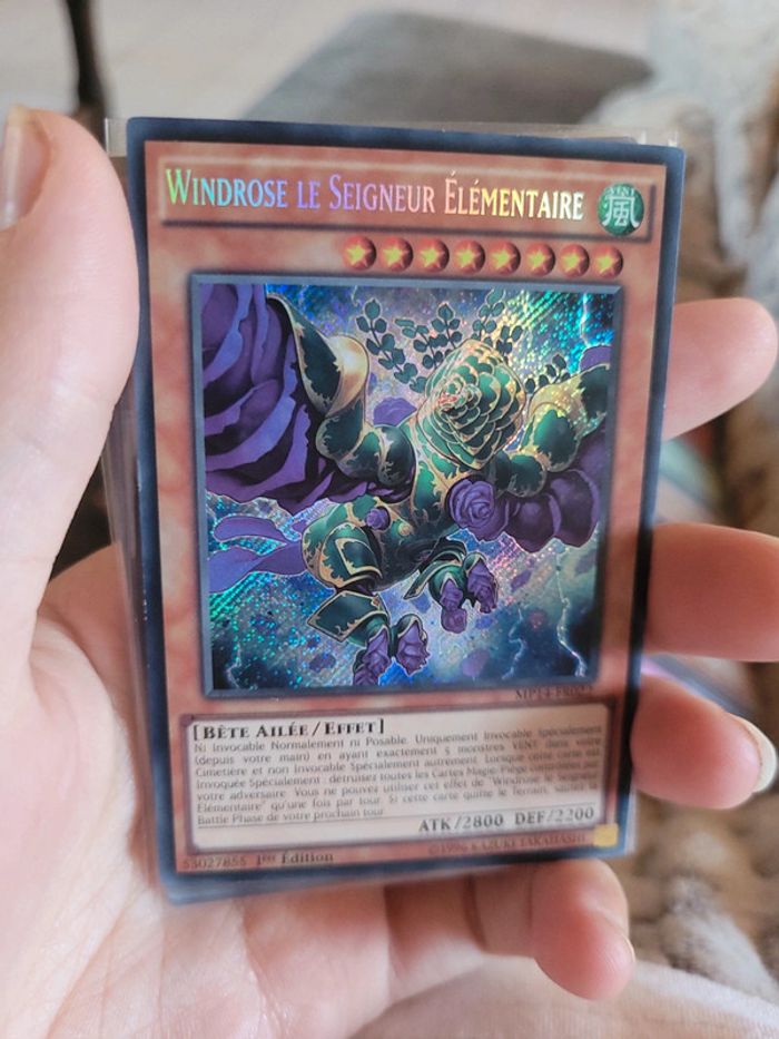 Carte windrose le seigneur élémentaire