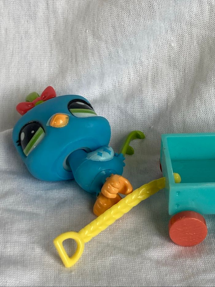 lps caille - photo numéro 5