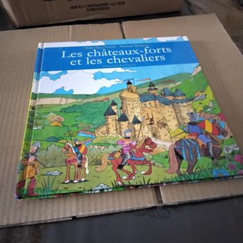 Les châteaux forts et les chevaliers