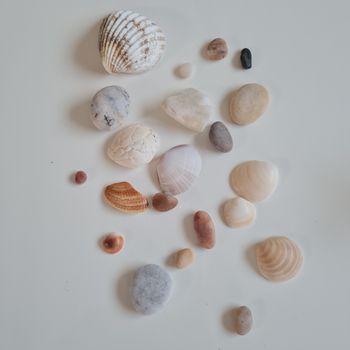 Lot de coquillages et pierres