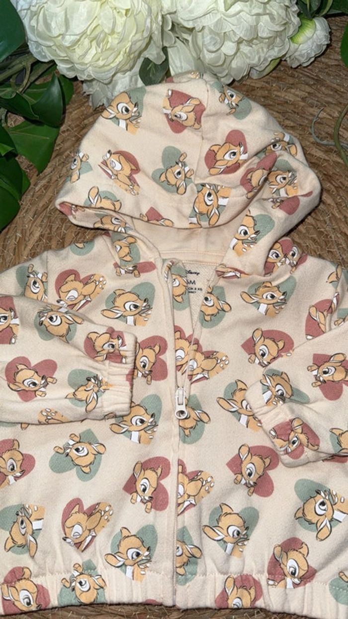 Veste - photo numéro 2
