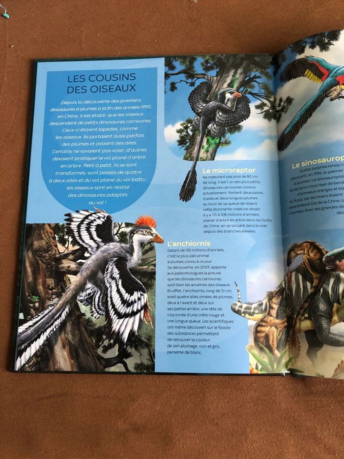 Les dinosaures - photo numéro 3
