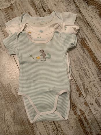 Lot de 3 bodies manches courtes Tex