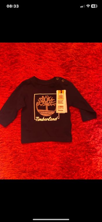Tee-shirts timberland 18 M