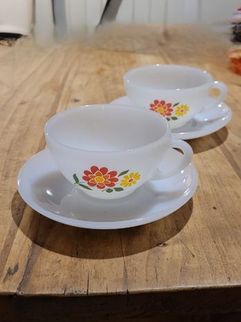 2 tasses et soucoupes Arcopal Fleurette - vintage